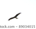 Tobi 89034015
