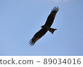 Tobi 89034016