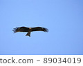 Tobi 89034019