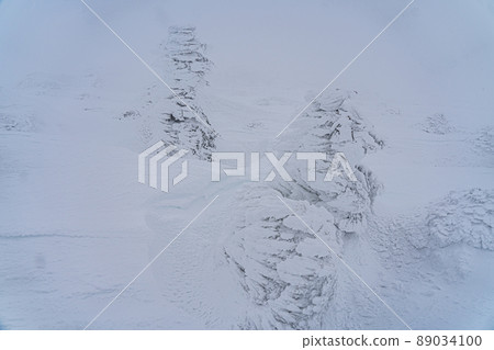 Winter snow, rime, rime (Miyagi Zao) Winter snow, rime, rime (Miyagi Zao) 89034100