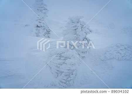 Winter snow, rime, rime (Miyagi Zao) Winter snow, rime, rime (Miyagi Zao) 89034102