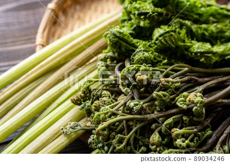 Bracken kogomi butterbur 89034246