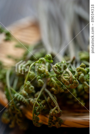 Natural bracken Natural bracken 89034318