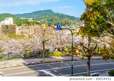 震源公園的櫻花[長崎縣長崎市] 89034452