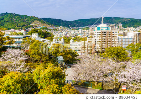 震源公園的櫻花[長崎縣長崎市] 89034453