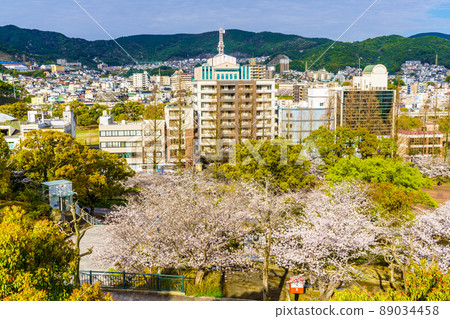 震源公園的櫻花[長崎縣長崎市] 89034458