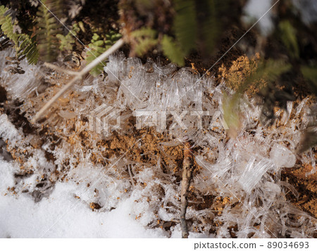 Needle ice growing from the soil Needle ice growing from the soil 89034693