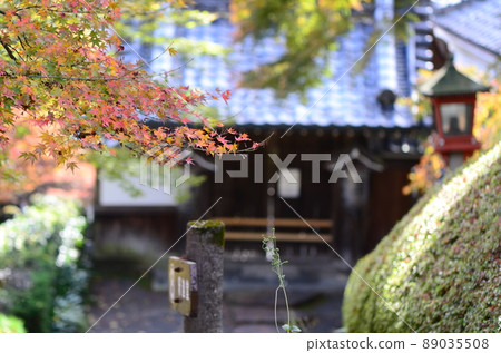 京都吉峰寺境內的秋葉 89035508