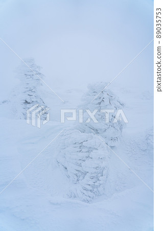Tree ice, hoarfrost, snow, winter trees (Miyagi Zao) 89035753