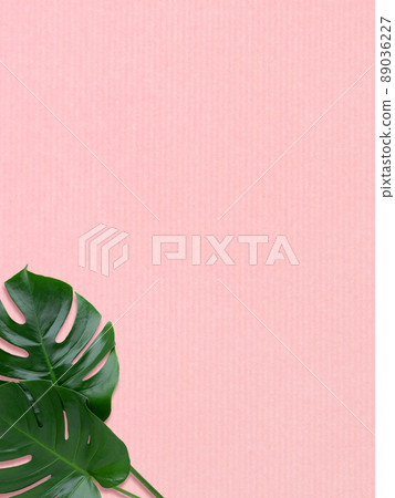 Tropical atmosphere background material Tropical atmosphere background material 89036227