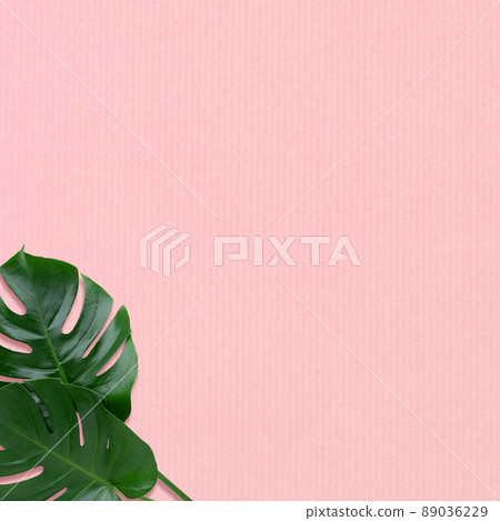 Tropical atmosphere background material Tropical atmosphere background material 89036229
