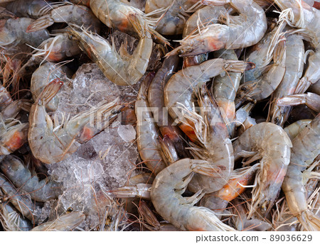Fresh shrimps pattern in seafood market Fresh shrimps pattern in seafood market 89036629