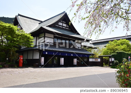 小田原市蕎麥麵、板沢溝和盛開的垂枝櫻花 89036945
