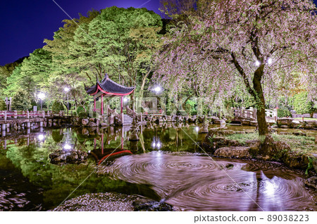 [Gifu] The cherry blossoms in the Japan-China Friendship Garden and the flower baskets and reflections in the pond are beautiful. 89038223