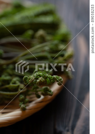 天然蕨類垃圾 89038283