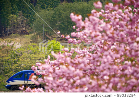 Run through the satoyama 89038284