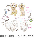 玩具貴賓犬、博美犬之前的狗修剪 89039363