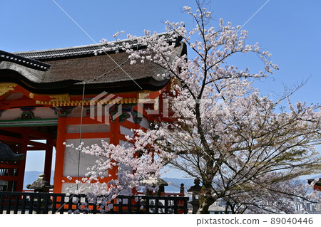 清水寺 89040446