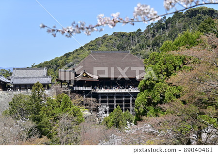 清水寺 89040481