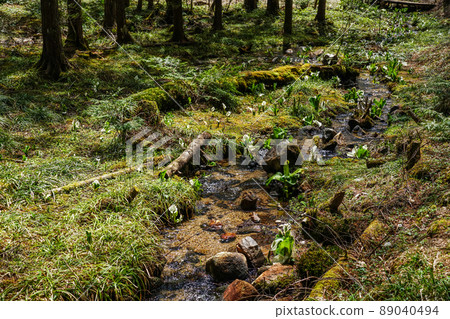 A group of water basho A group of water basho 89040494