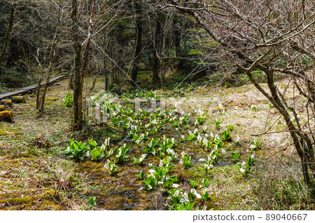 A group of water basho A group of water basho 89040667
