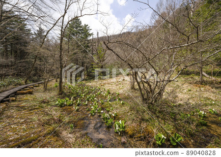 A group of water basho 89040828