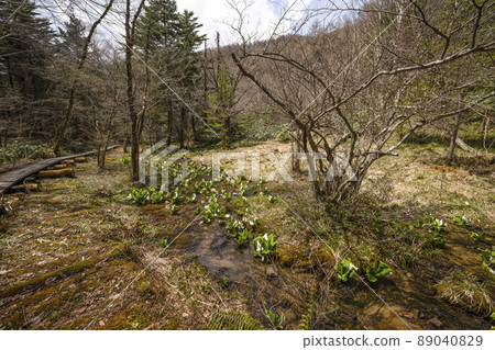 A group of water basho 89040829