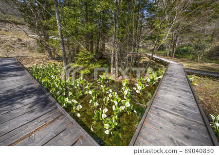 A group of water basho 89040830