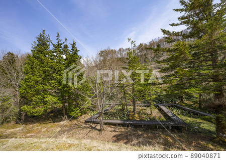 A group of water basho A group of water basho 89040871