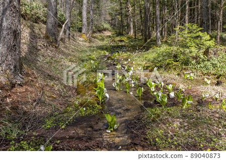 A group of water basho A group of water basho 89040873