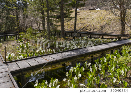 A group of water basho 89040884