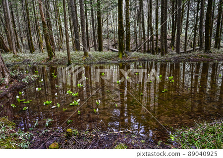 A group of water basho A group of water basho 89040925