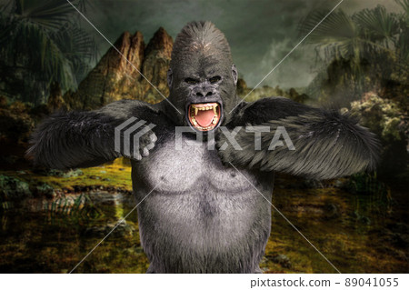 A huge gorilla with black coat in the jungle threatens with a rugged expression while drumming 89041055