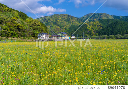 有米領域的花園 有米領域的花園 89041078