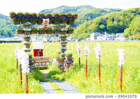 有米領域的花園 有米領域的花園 89041079