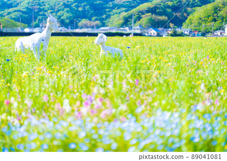 有米領域的花園 89041081