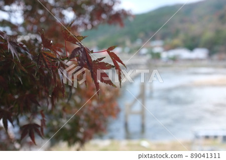 京都嵐山渡月橋和秋葉 京都嵐山渡月橋和秋葉 89041311
