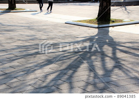 一棵樹的影子延伸到地面 一棵樹的影子延伸到地面 89041385