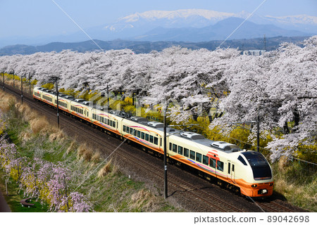 市陸千本櫻和東北幹線 市陸千本櫻和東北幹線 89042698