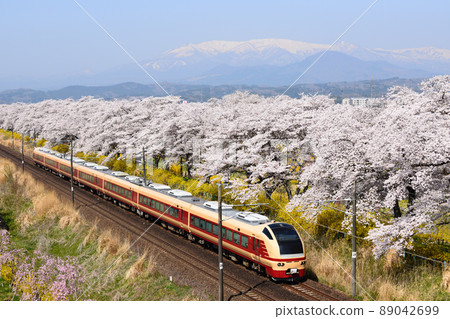 市陸千本櫻和東北幹線 市陸千本櫻和東北幹線 89042699