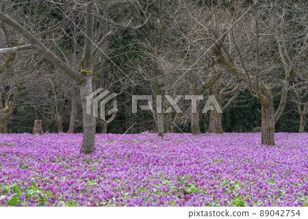 Katakuri Community Town, Nishiki-cho, Semboku City 89042754