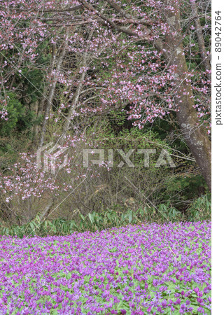 仙北市錦町片栗社區町 仙北市錦町片栗社區町 89042764