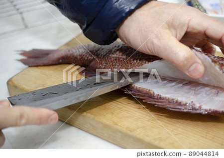 Field the fish Field the fish 89044814