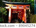 Senbon Torii of Fushimi Inari Taisha Shrine 89045274