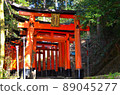 Senbon Torii of Fushimi Inari Taisha Shrine 89045277
