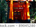 Senbon Torii of Fushimi Inari Taisha Shrine 89045280