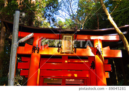 Senbon Torii of Fushimi Inari Taisha Shrine 89045281