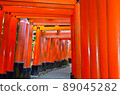 Senbon Torii of Fushimi Inari Taisha Shrine 89045282
