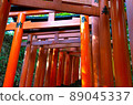 Senbon Torii of Fushimi Inari Taisha Shrine 89045337