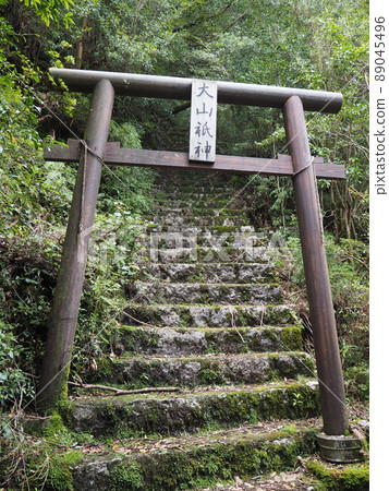 Superb view of Jomon cedar trekking Superb view of Jomon cedar trekking 89045496